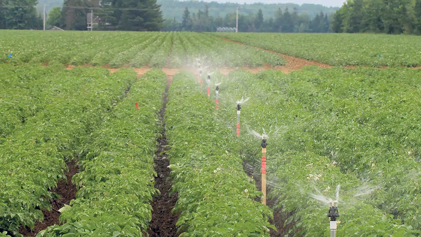 Optimisation du drainage et gestion des eaux de pluie pour les agriculteurs