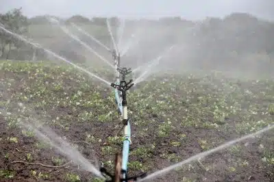 Optimisation du drainage et gestion des eaux de pluie pour les agriculteurs